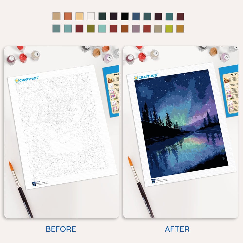 Painting By Numbers Kits 15.7" x 19.6" (40 x 50cm) Alaskan Night Sky - Paint By Numbers Kit