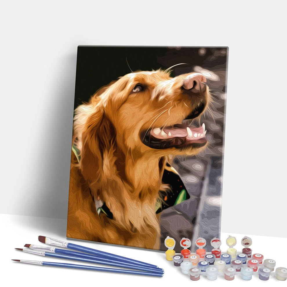 Custom Paint by Numbers Kit