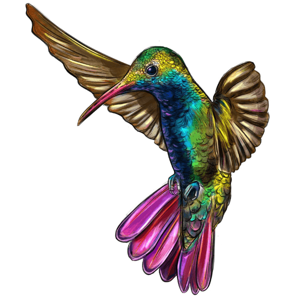 Hummingbird - Wooden Jigsaw Puzzle Out of stock – PuzzlesUp